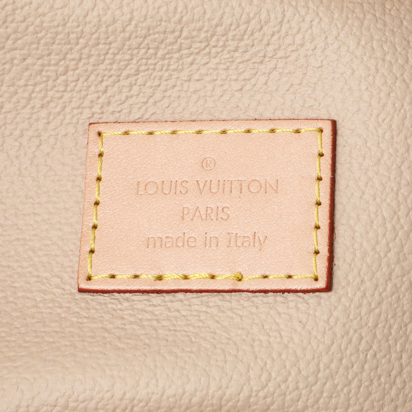 Louis Vuitton Monogram Nano Nice