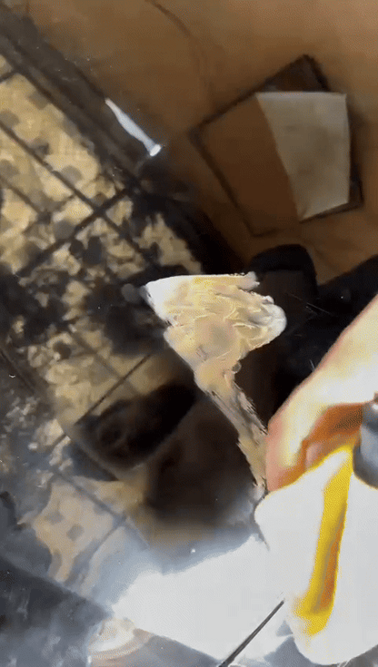 UNICORN SCRATCH REMOVER